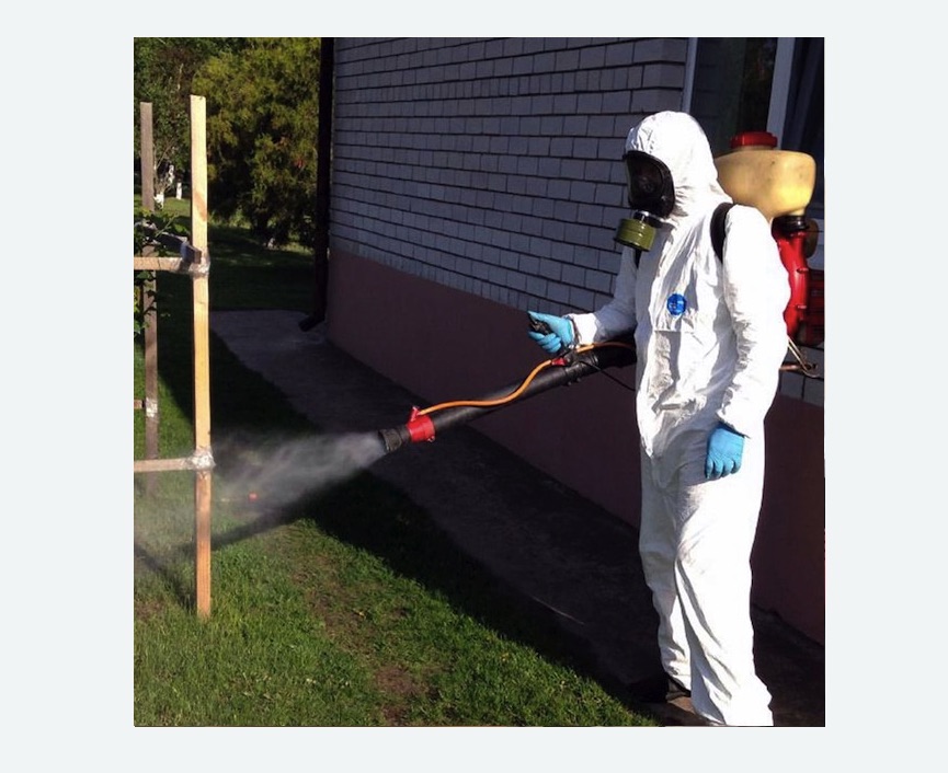 уничтожение клещей на участке травля клещей на участке в Долинске