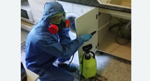 Уничтожение муравьев в квартире. Долинск