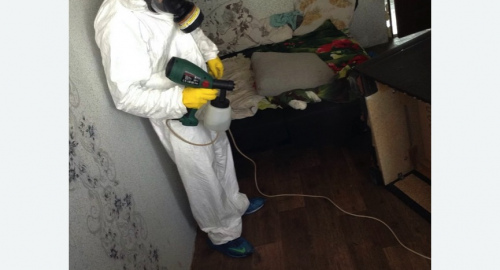 Обработка квартир от насекомых в Долинске