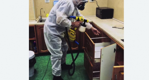 Дезинсекция квартиры. Долинск