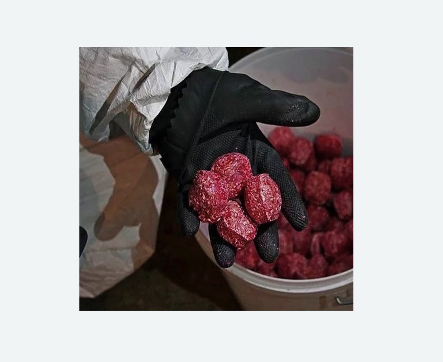 Обработка от крыс в Долинске