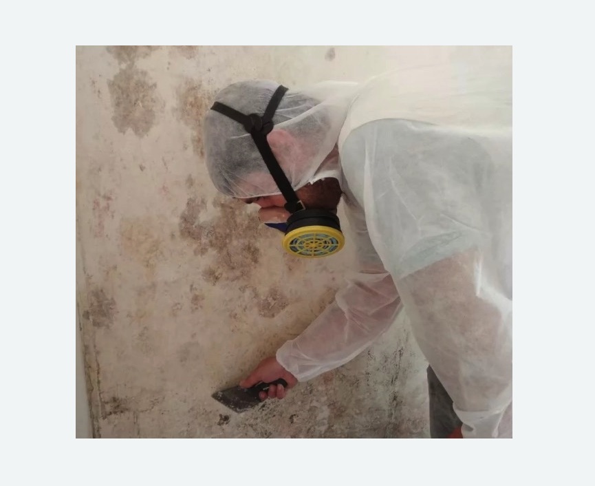 Обработка стен от плесени в Долинске