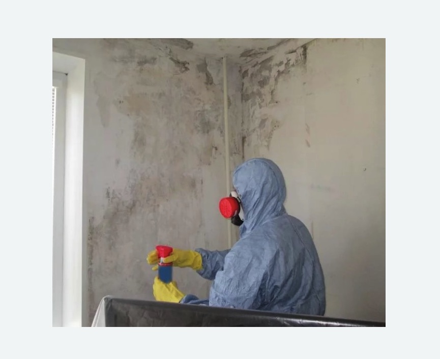 Удаление плесени в квартире в Долинске