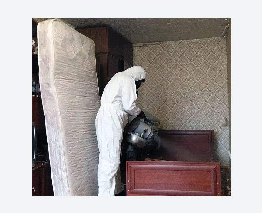 дезинфекция от клопов в Долинске