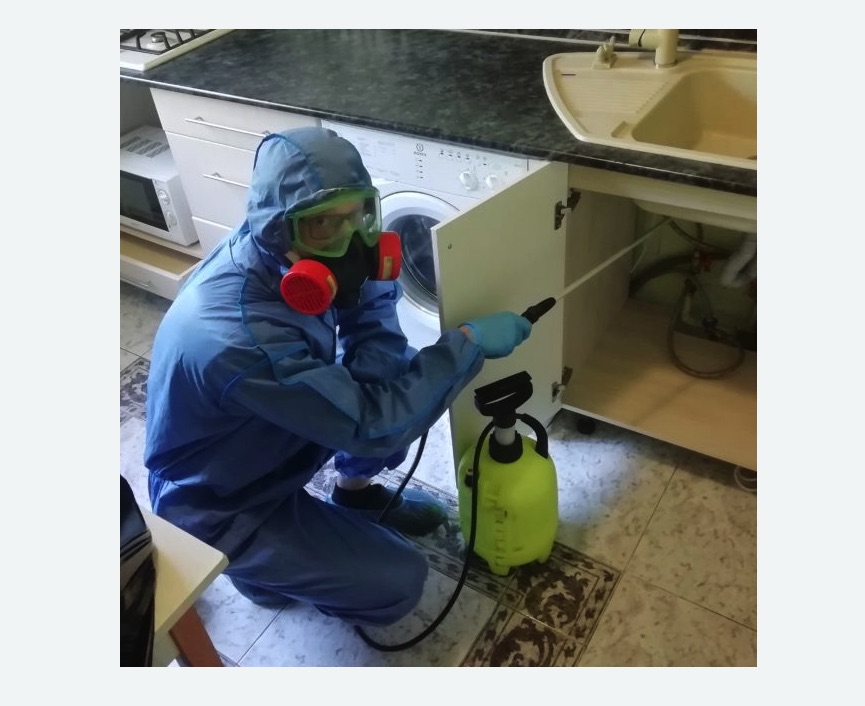 обработка от муравьев в квартире в Долинске