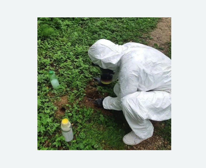 уничтожение кротов на участке в Долинске