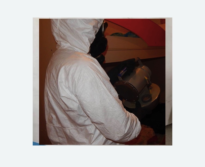 Дезинфекция от муравьев в Долинске