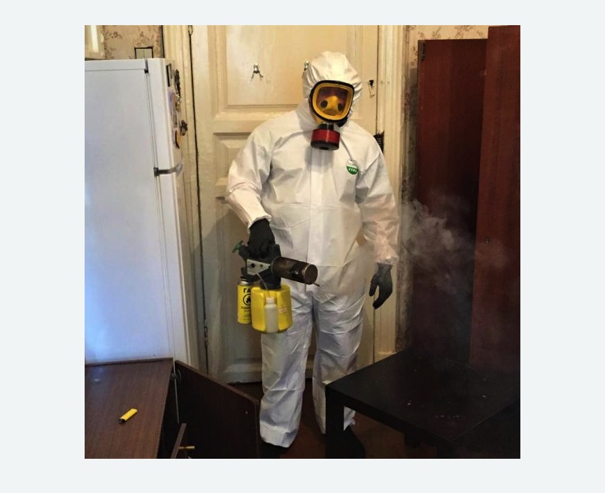 уничтожение муравьев в квартире в Долинске